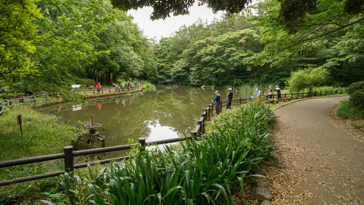 東戸塚近く 大きな公園がペットの散歩にオススメ 横浜市児童遊園地 パークティーのブログ