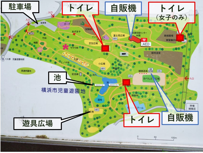 横浜市児童遊園地は大きな自然公園 ペットの散歩にオススメ パークティーぶろぐ