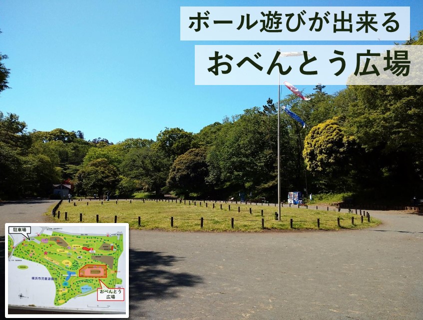 横浜市児童遊園地は大きな自然公園 ペットの散歩にオススメ パークティーぶろぐ