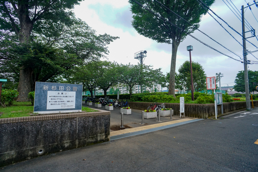 野球場　ドックラン貸切にオススメ！　新杉田公園