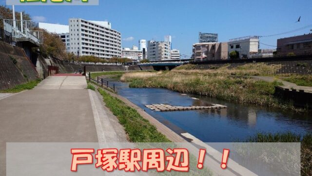 【コース紹介】戸塚駅周辺でのランニングに柏尾川が最適な４つの理由