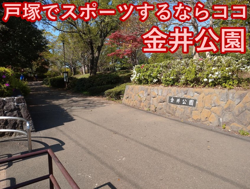 戸塚区トップクラスの屋外スポーツ公園　金井公園を写真で解説！