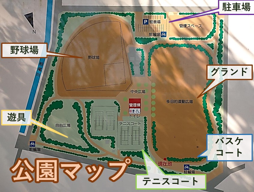 金井公園　地図