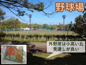 金井公園　野球場