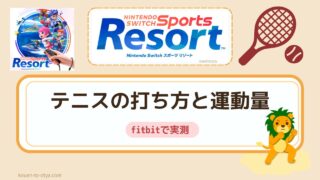 Switchスポーツリゾートのテニスのコツ|打ち方6種類、運動量も実測